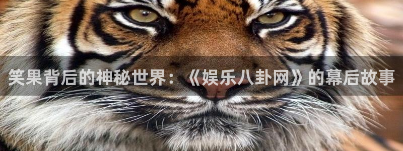 35uam银河官网